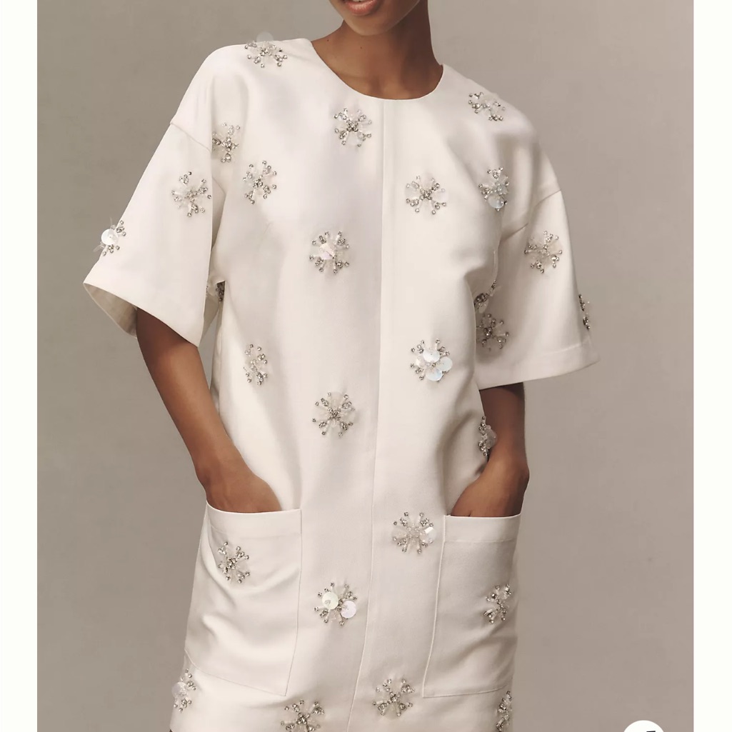 Bhldn Short-Sleeve Crew-Neck Beaded Mini Dress Nwt
